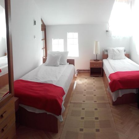 ホテル Casa Bota Vişeu de Sus エクステリア 写真