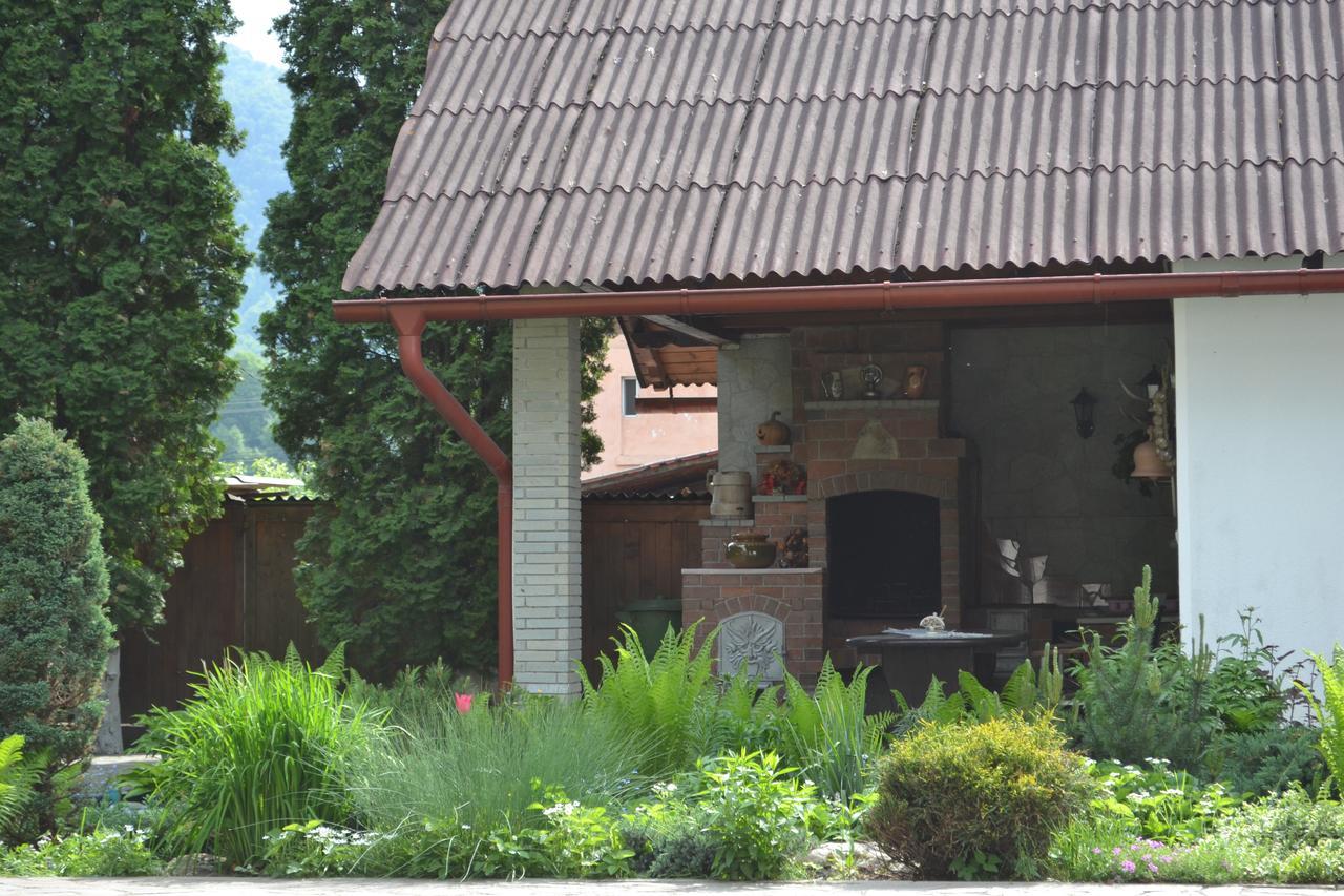 ホテル Casa Bota Vişeu de Sus エクステリア 写真