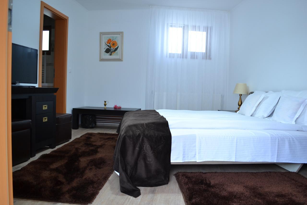 ホテル Casa Bota Vişeu de Sus エクステリア 写真