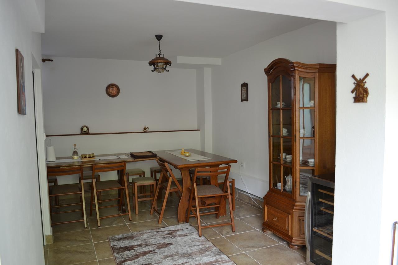 ホテル Casa Bota Vişeu de Sus エクステリア 写真