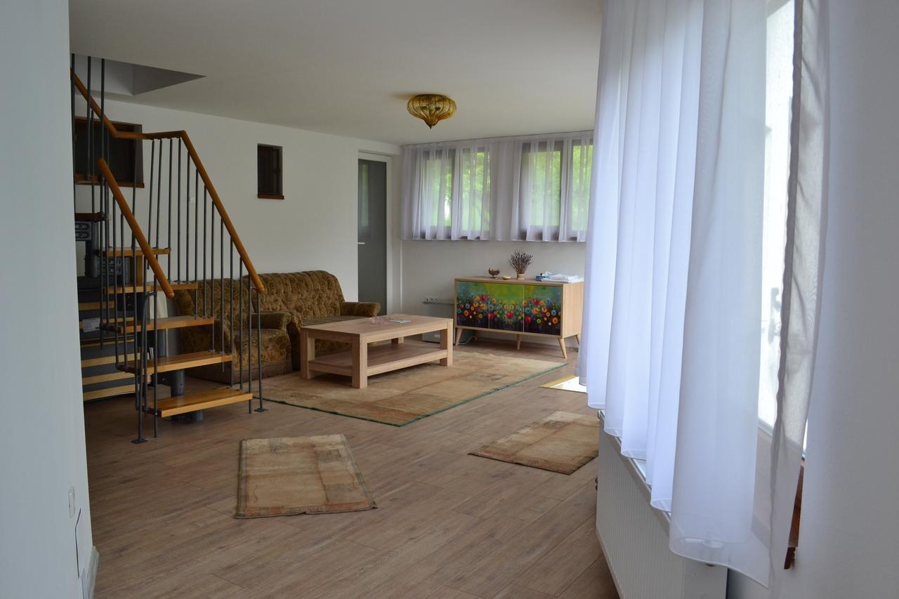 ホテル Casa Bota Vişeu de Sus エクステリア 写真