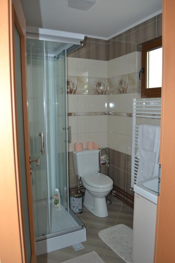 ホテル Casa Bota Vişeu de Sus エクステリア 写真