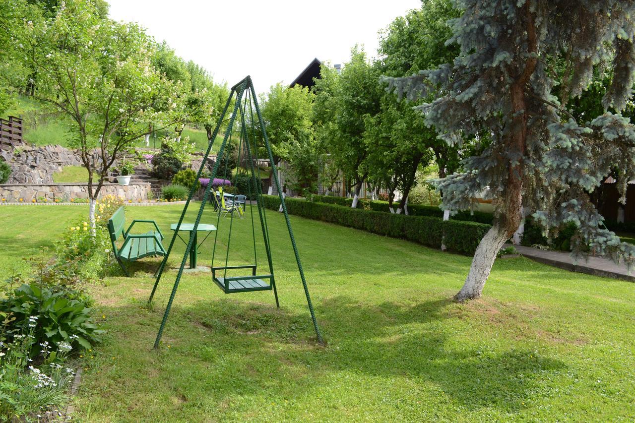 ホテル Casa Bota Vişeu de Sus エクステリア 写真