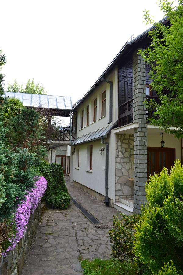 ホテル Casa Bota Vişeu de Sus エクステリア 写真