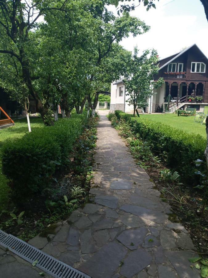 ホテル Casa Bota Vişeu de Sus エクステリア 写真