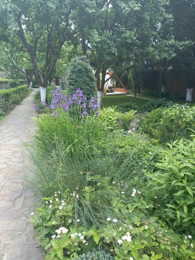 ホテル Casa Bota Vişeu de Sus エクステリア 写真